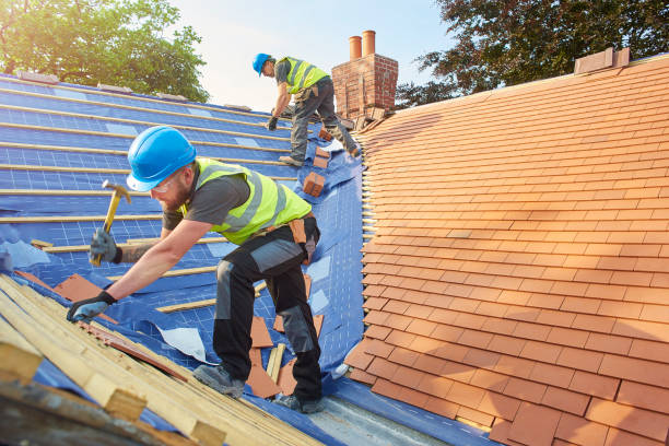 Best Roof Coating and Sealing  in Ina, IL